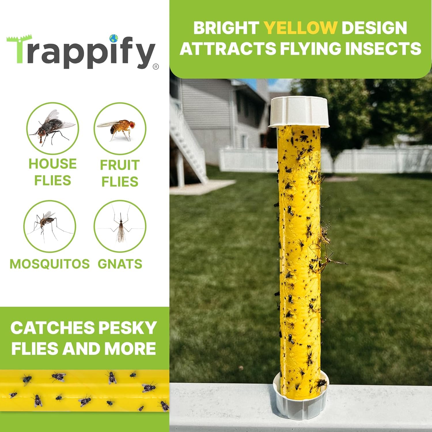 Trappify indoor hang by kitchen window catching fruit flies near fruit
