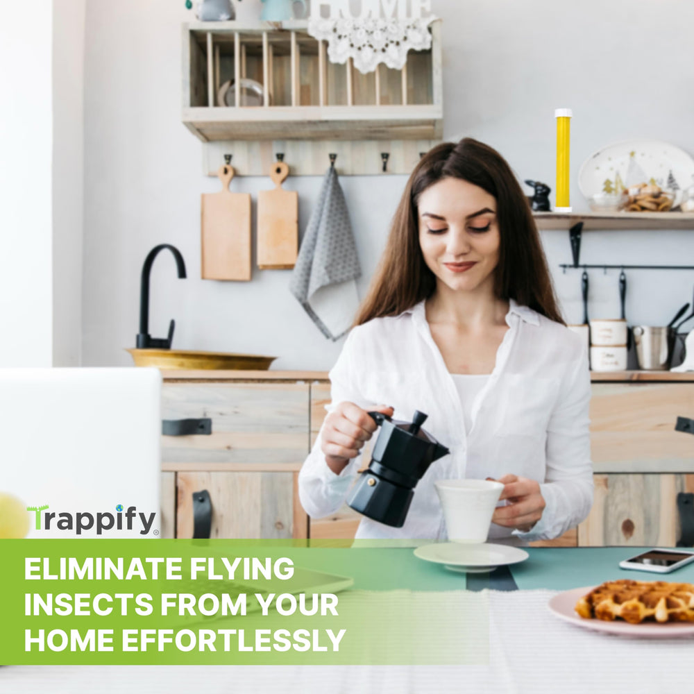 Trappify size comparison beside ruler showing compact easy-to-hang design