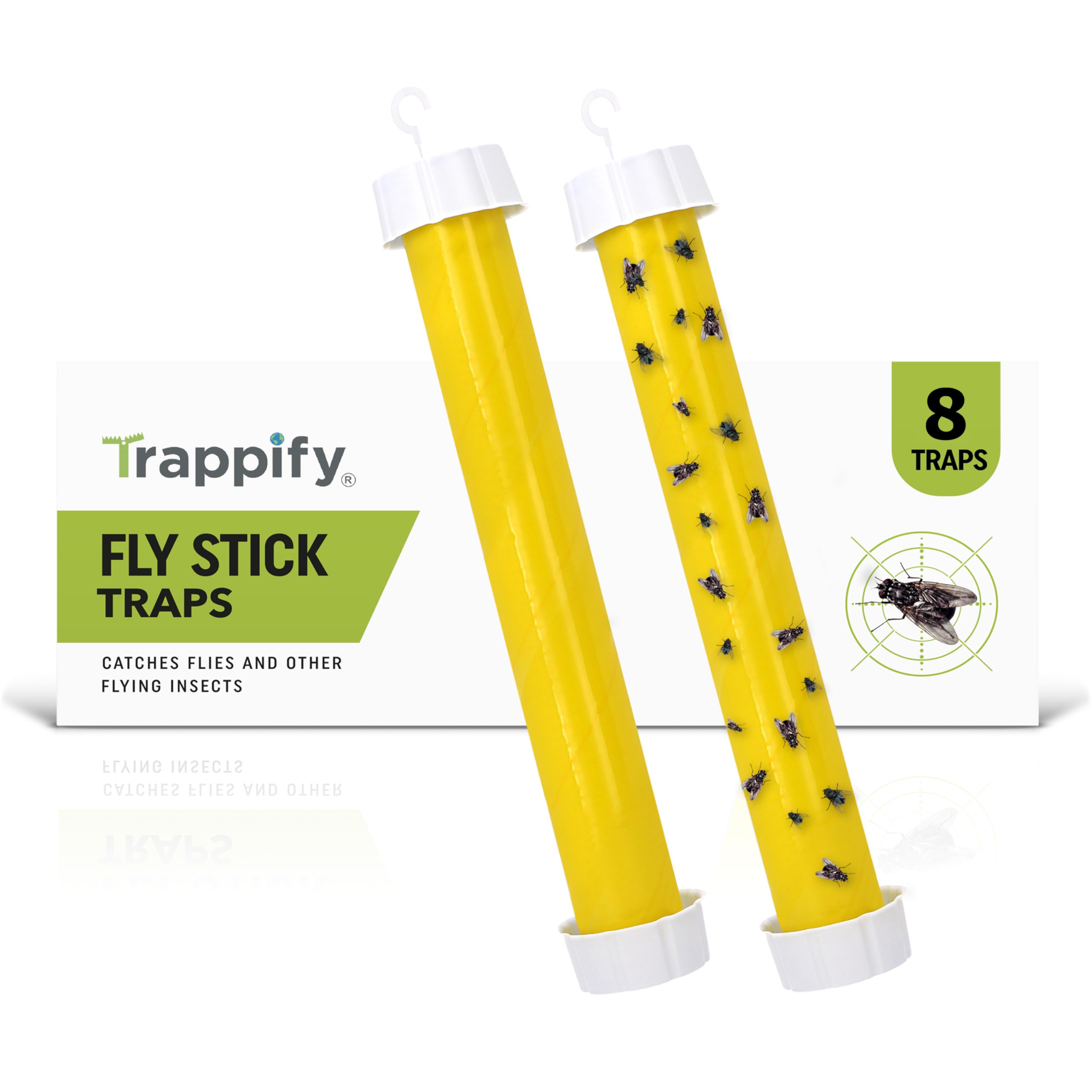 Trappify used trap filled with captured flies showing effectiveness