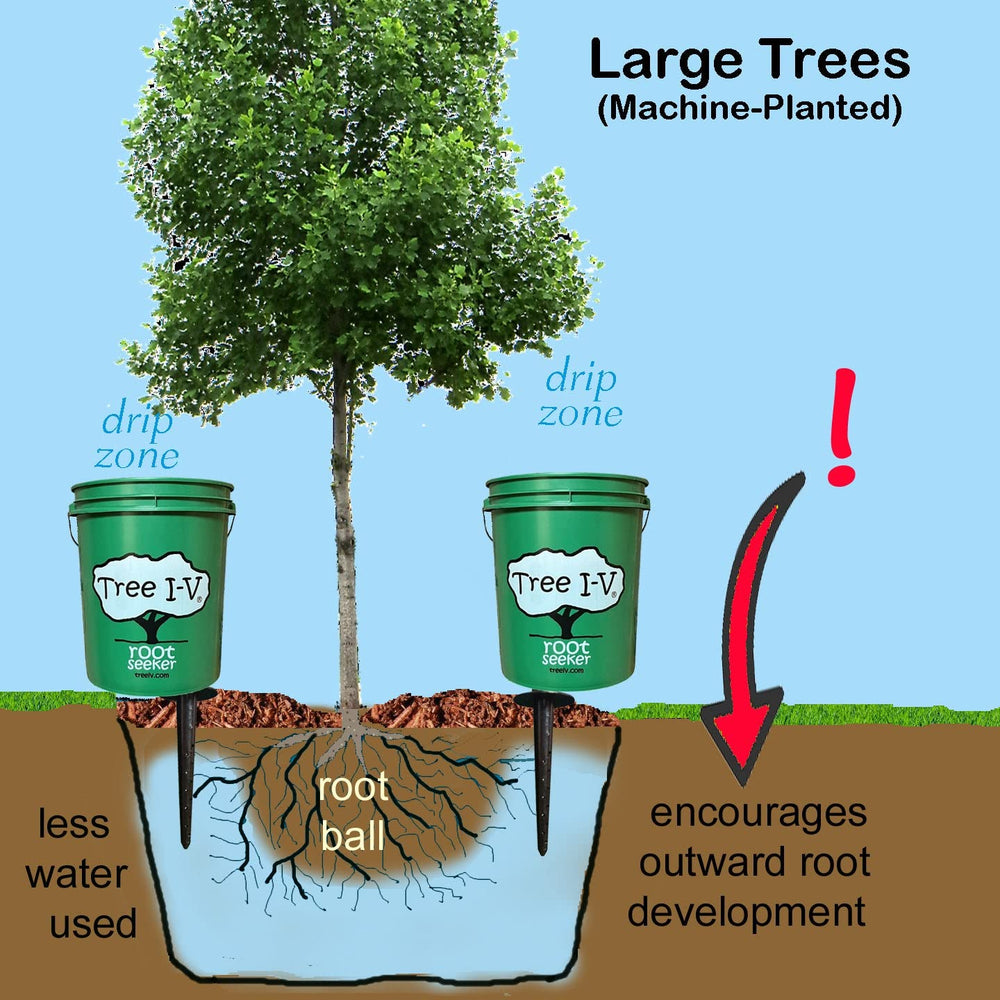 Tree I.V. kit used in a group conservation project illustrating educational value