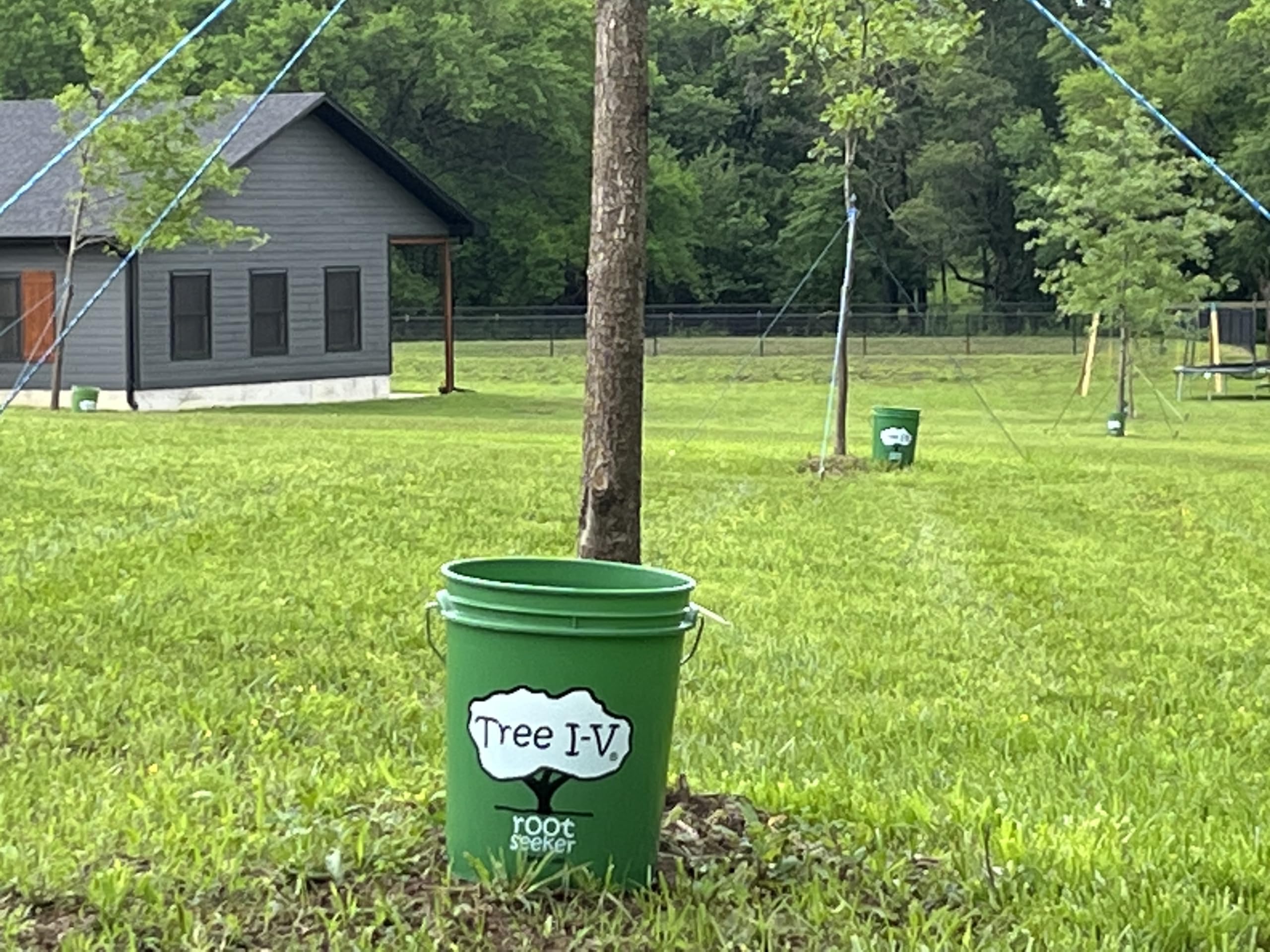 Tree I.V. feeder shown with hands for size comparison and simple tool use