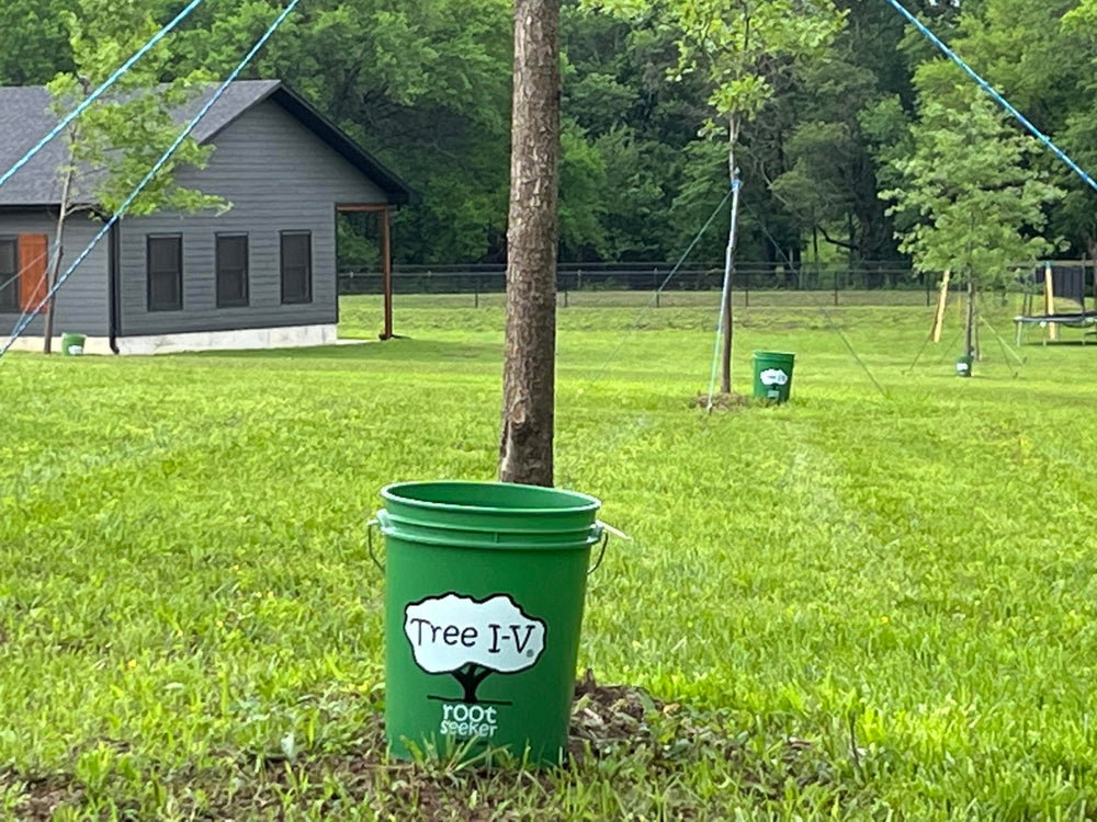 Tree I.V. feeder shown with hands for size comparison and simple tool use