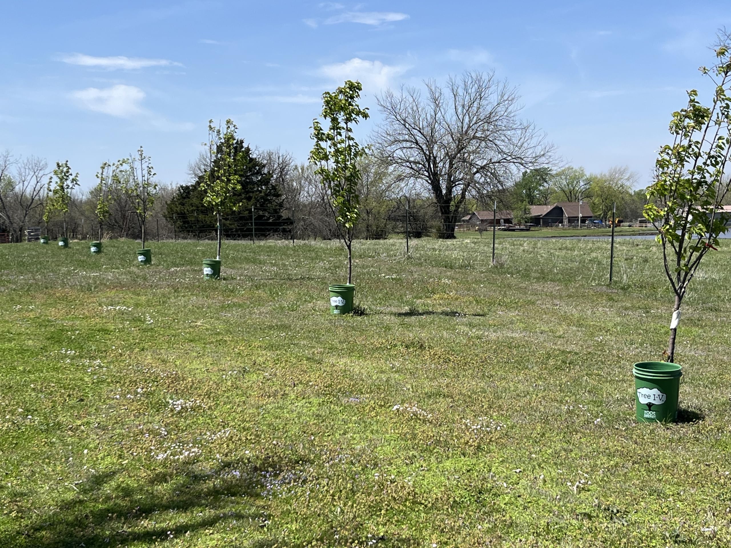 Tree I.V. reservoirs stacked for compact off-season storage and space saving
