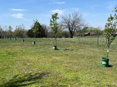 Tree I.V. reservoirs stacked for compact off-season storage and space saving