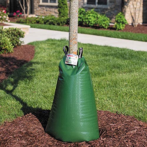 TreeGator bag in use wrapped around a trunk demonstrating deep-root watering benefit