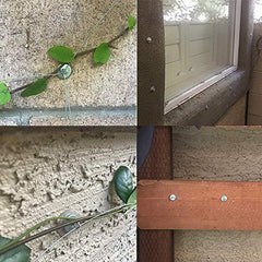 Trellis Anchors close-up of a single anchor demonstrating smooth edges that protect plants