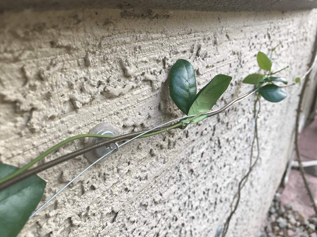 Trellis Anchors anchors adhered on brick wall illustrating no-drill installation advantage