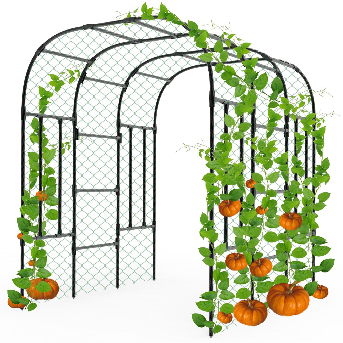 Trellume arch front view showing full arch and plant support benefit