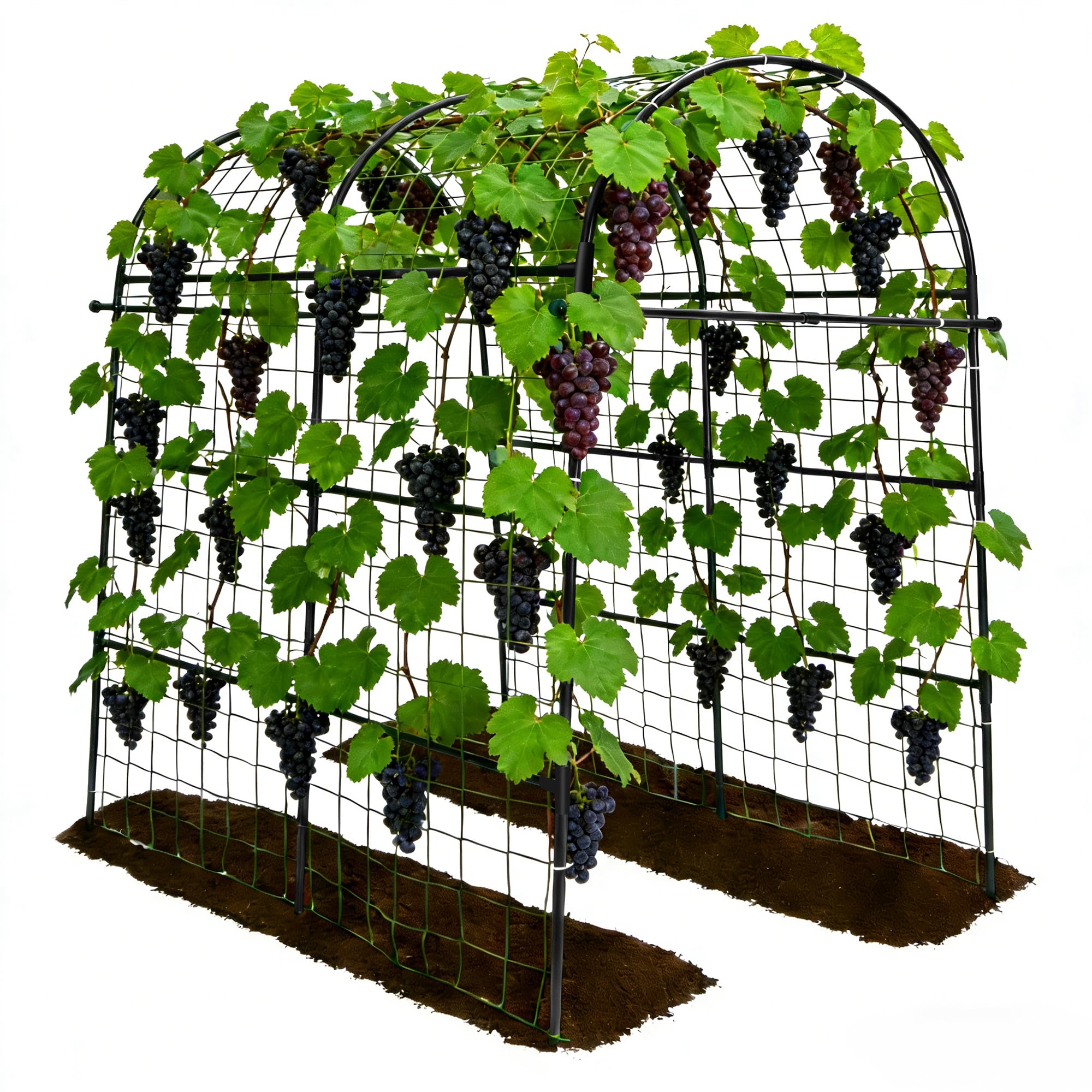 Trellume arch front view showing full tunnel for climbing plants and easy access