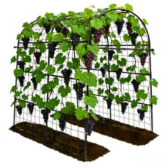 Trellume arch front view showing full tunnel for climbing plants and easy access