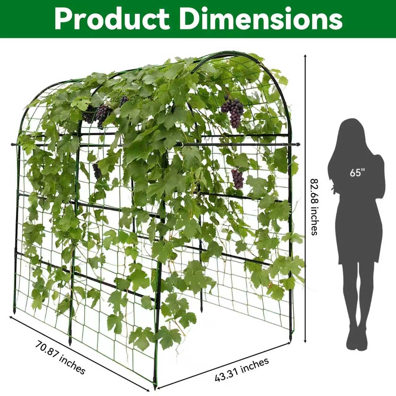 Trellume arch with cucumbers and gourds climbing illustrating productive support