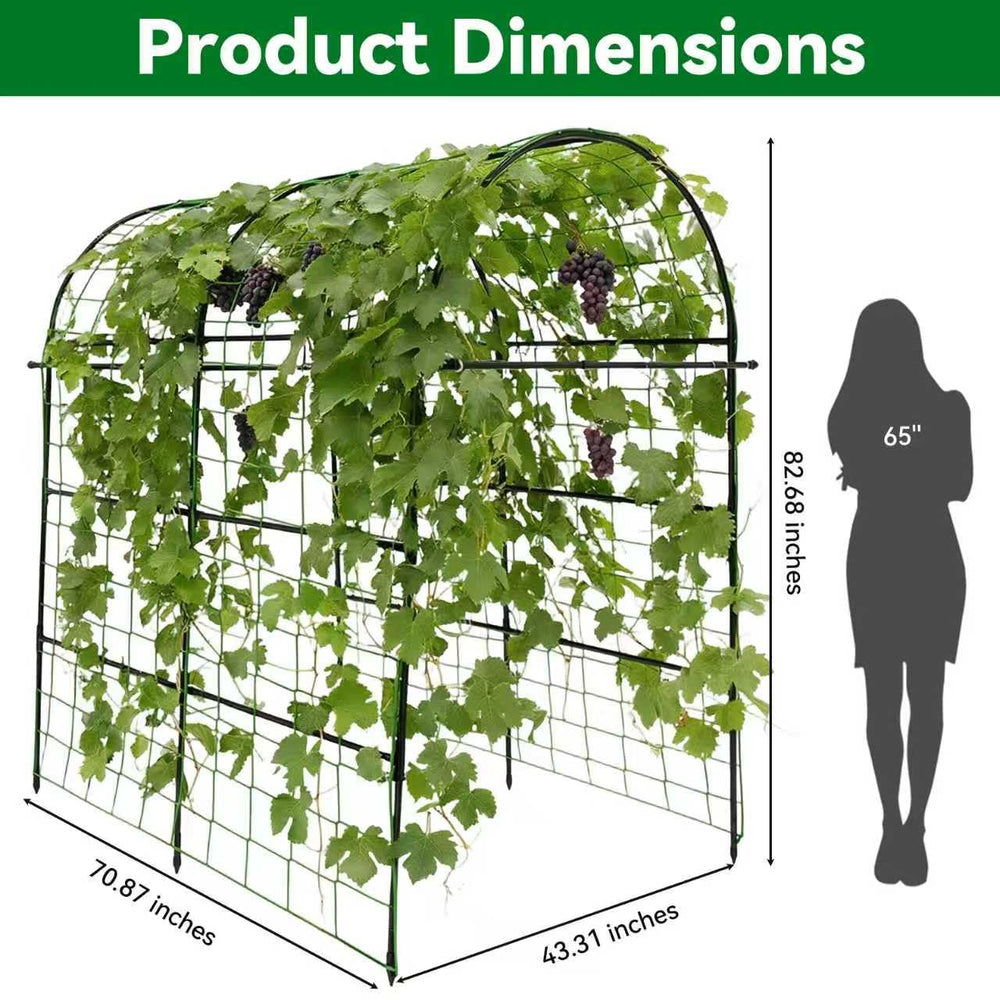 Trellume arch with cucumbers and gourds climbing illustrating productive support
