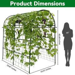Trellume arch with cucumbers and gourds climbing illustrating productive support