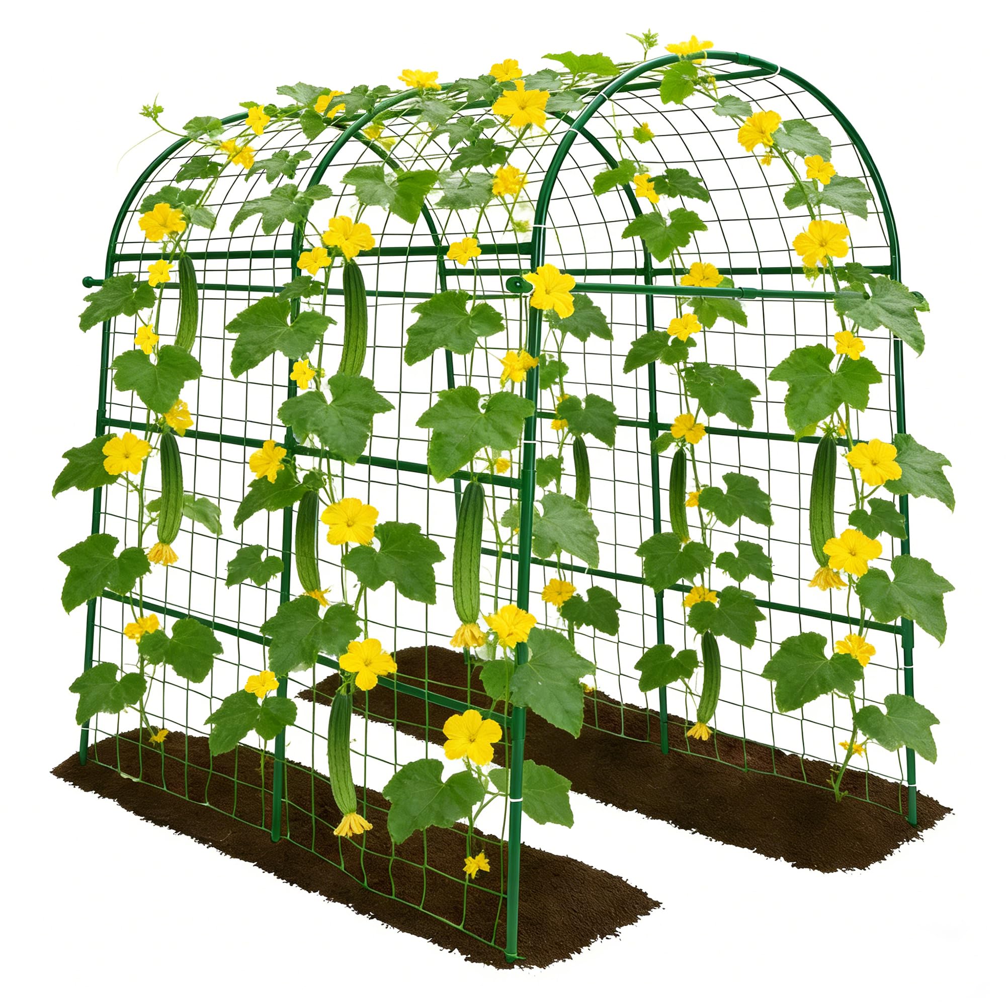Trellume front view of arch trellis showing full structure and clearance benefit