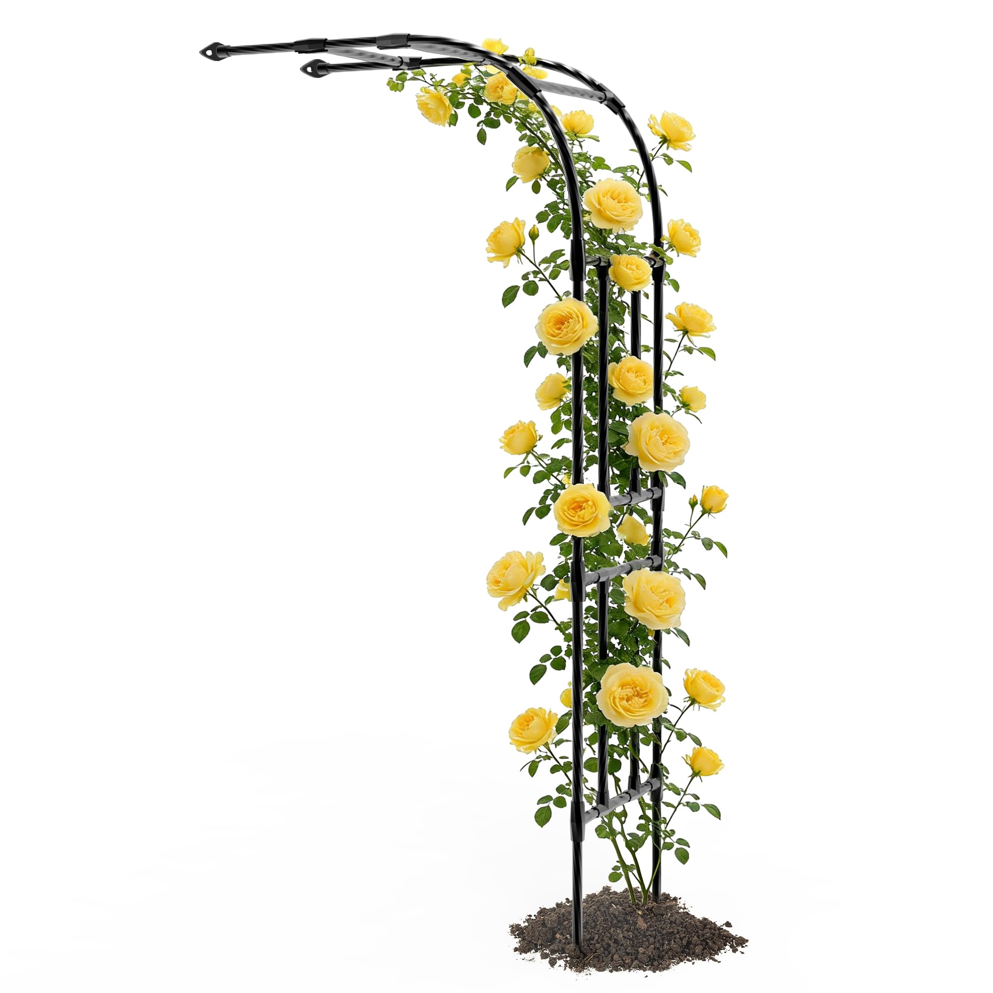 Trellume front view of arch showing elegant shape and garden support benefits