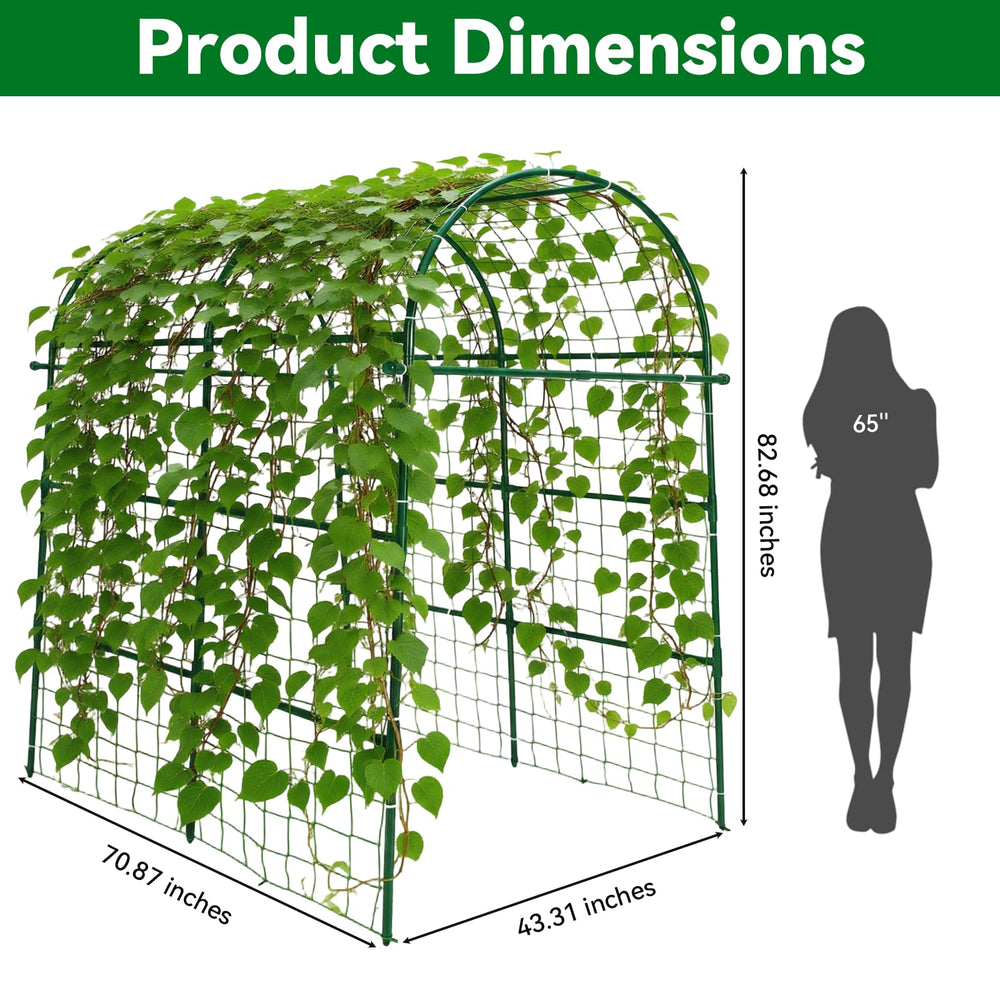 Trellume trellis supporting climbing vines demonstrating productive vertical growth