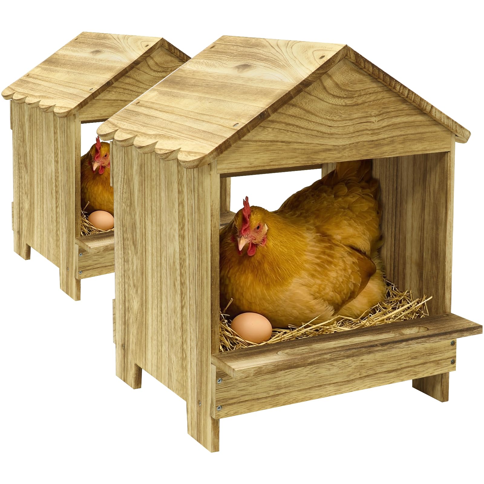 TRINFREE front view of two nesting boxes showing organized eggs and easy access
