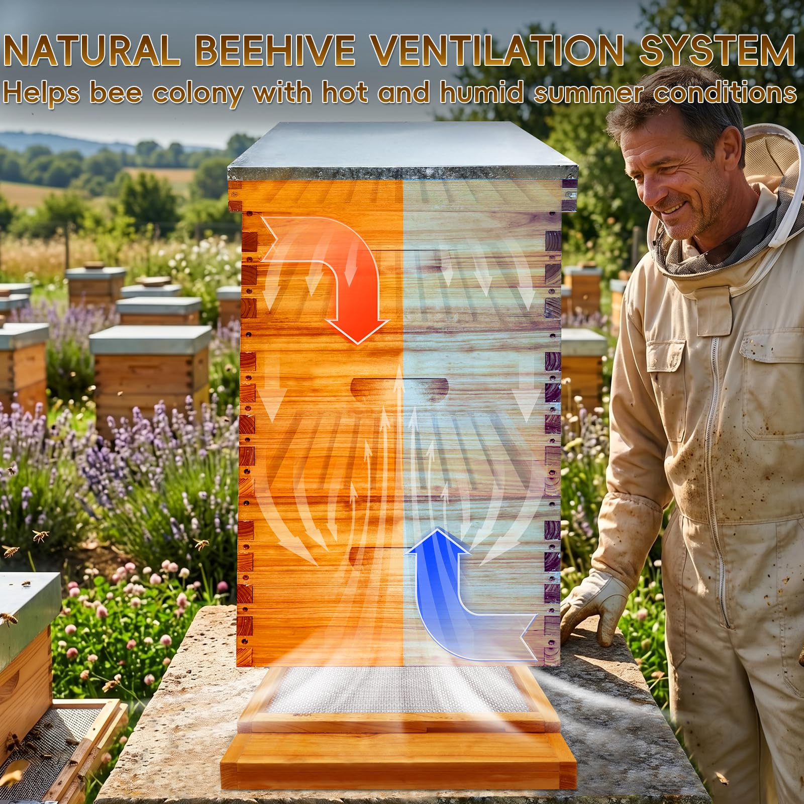 TRINFREE installed under Langstroth hive in garden demonstrating improved ventilation benefit