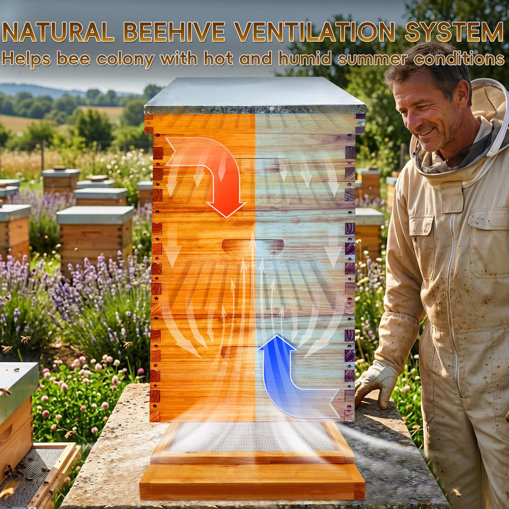 TRINFREE installed under Langstroth hive in garden demonstrating improved ventilation benefit