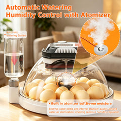 TRIOCOTTAGE atomizer and external water bottle demonstrating fast responsive humidity control