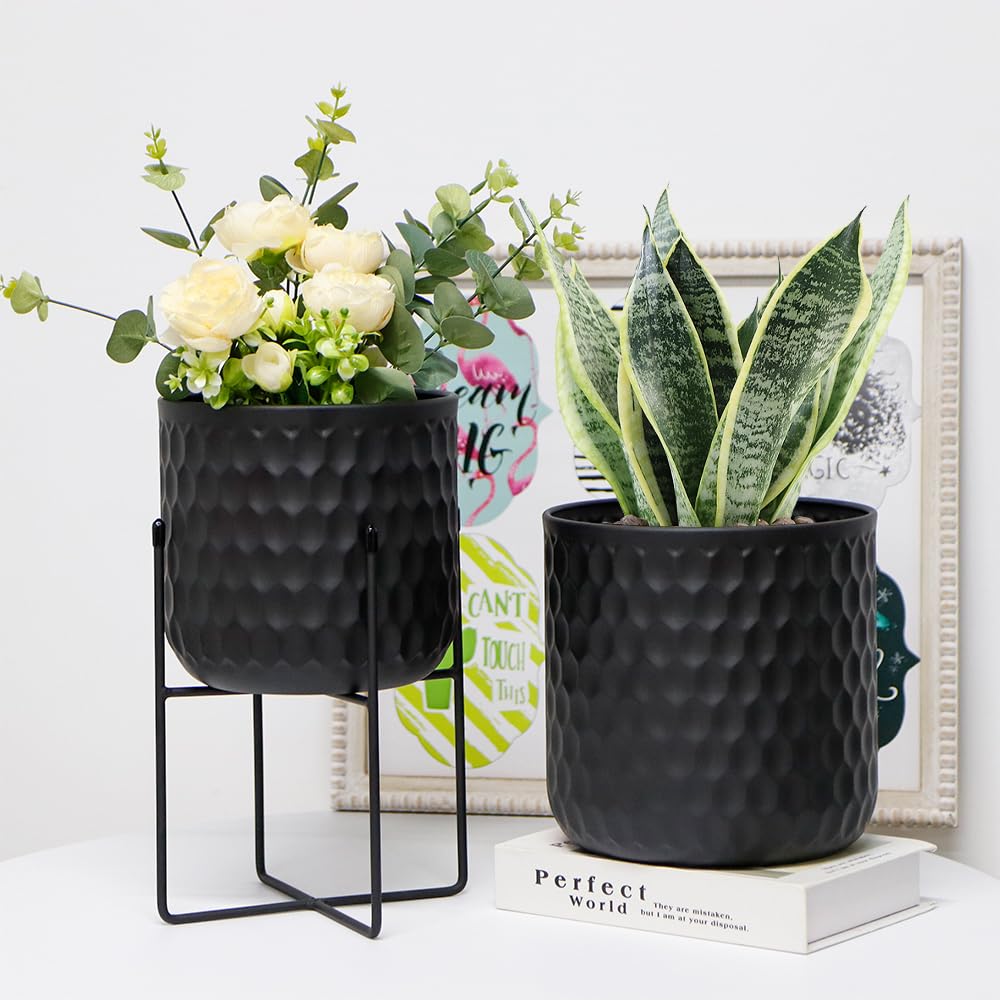 TRIROCKS lifestyle entryway styling showing elevated plants adding visual interest