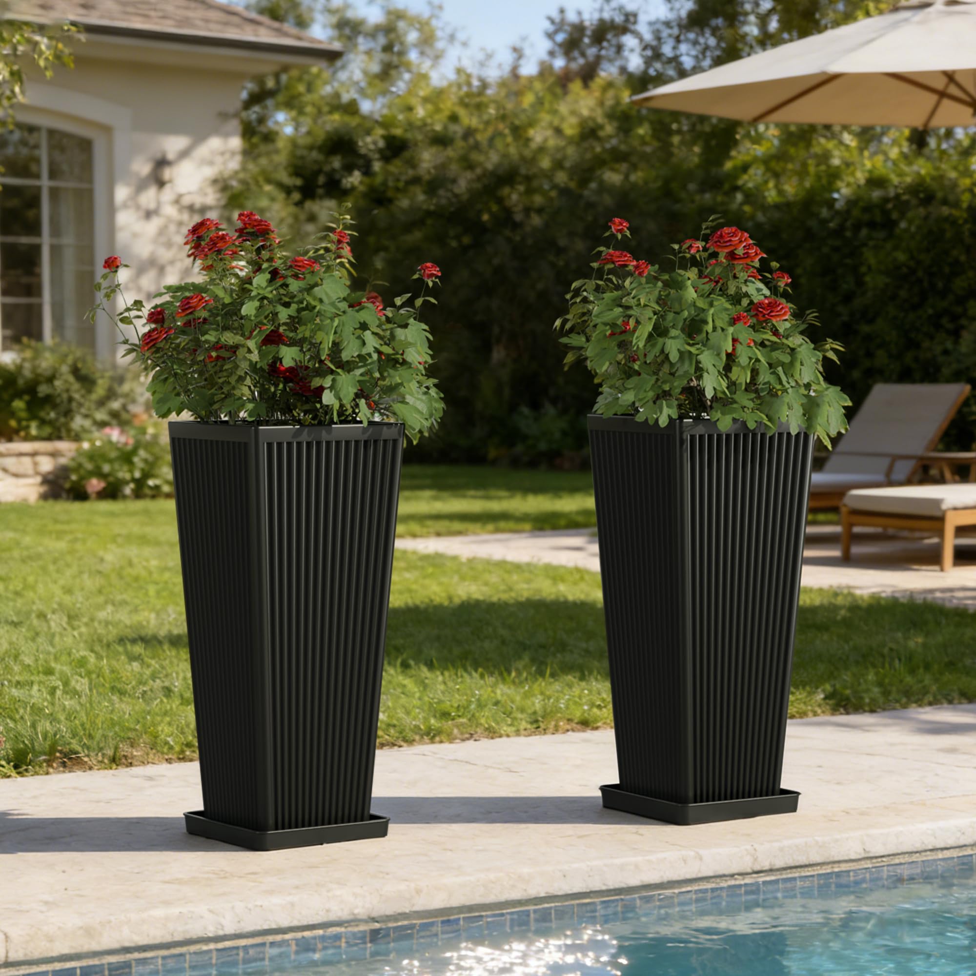 Trygoal interior cavity view emphasizing deep root space and easy potting