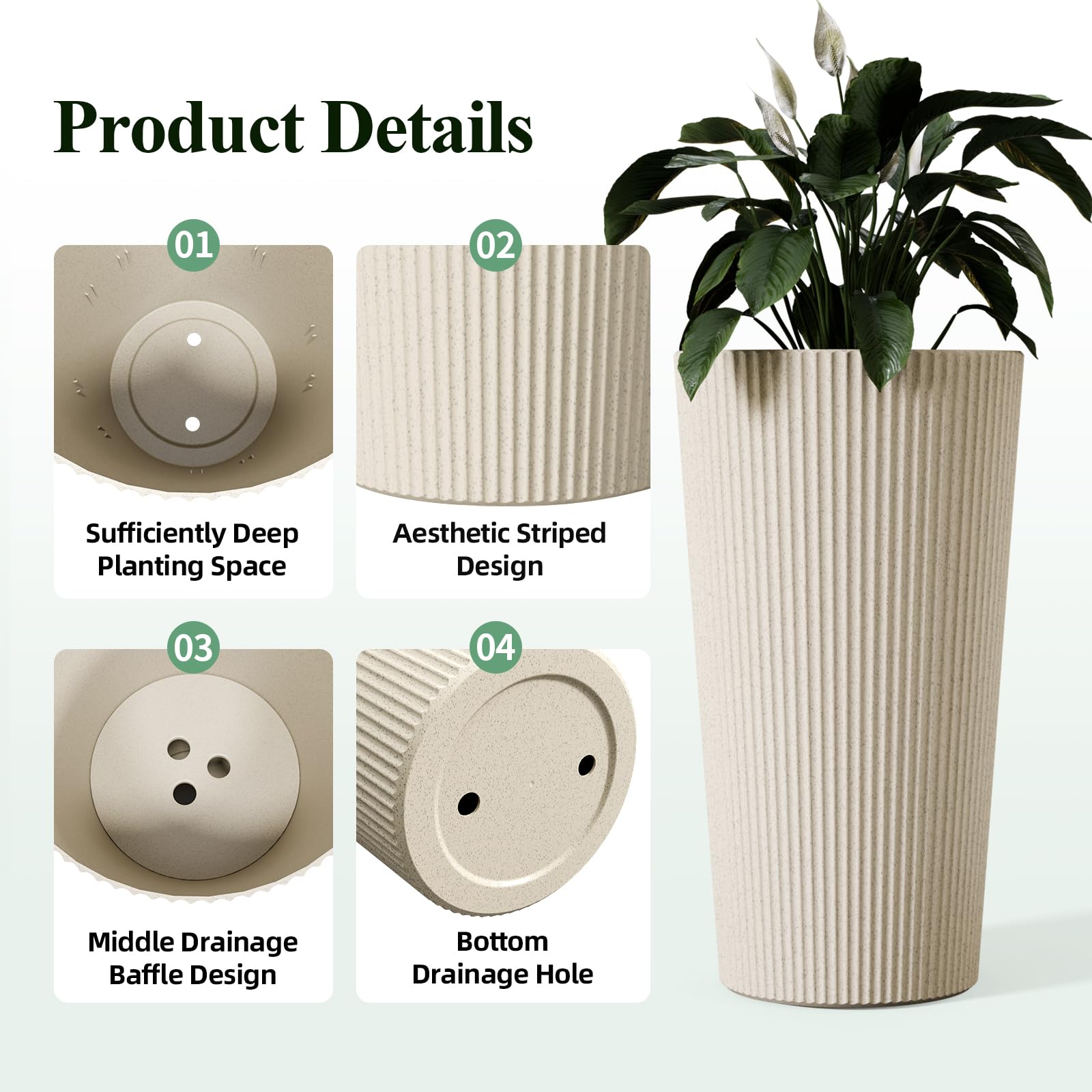 Trygoal side profile of conical shape demonstrating stable base and tapered silhouette
