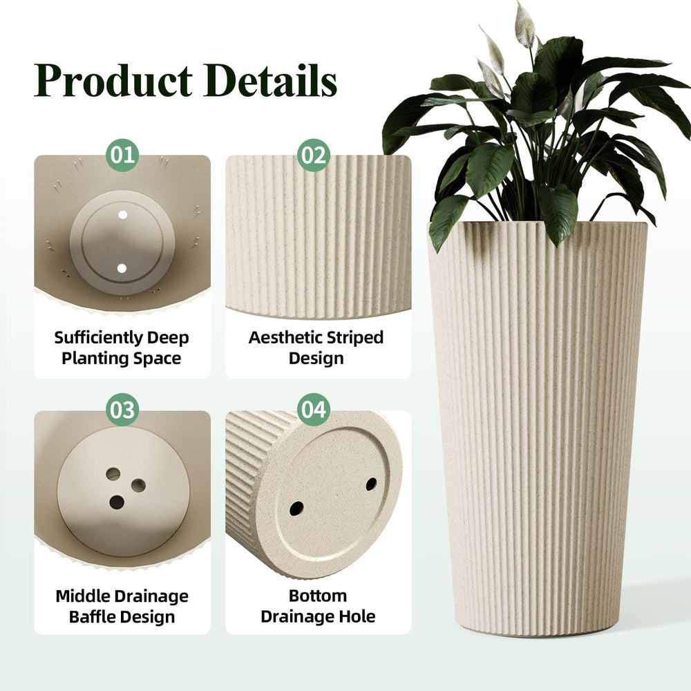Trygoal side profile of conical shape demonstrating stable base and tapered silhouette