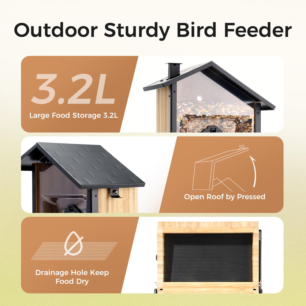TT Nature feeder in use with birds visiting, delivering close-up wildlife photos