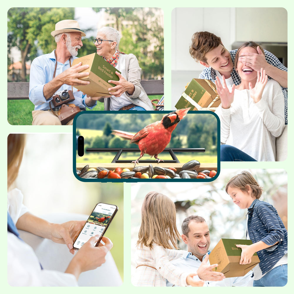 TT Nature live viewing on phone and tablet showing multi-user sharing