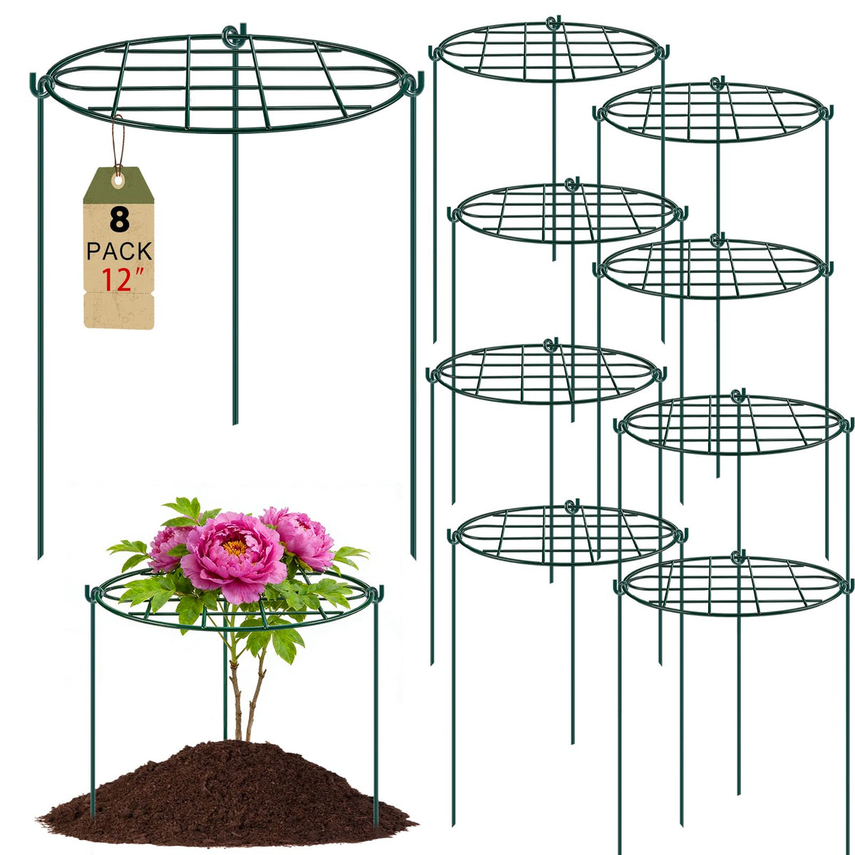 TTQ front view of peony cage showing ring and legs for tidy support