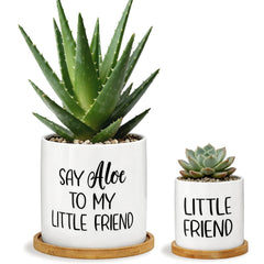 Tuitessine front view of planter set showing farmhouse lettering benefit display