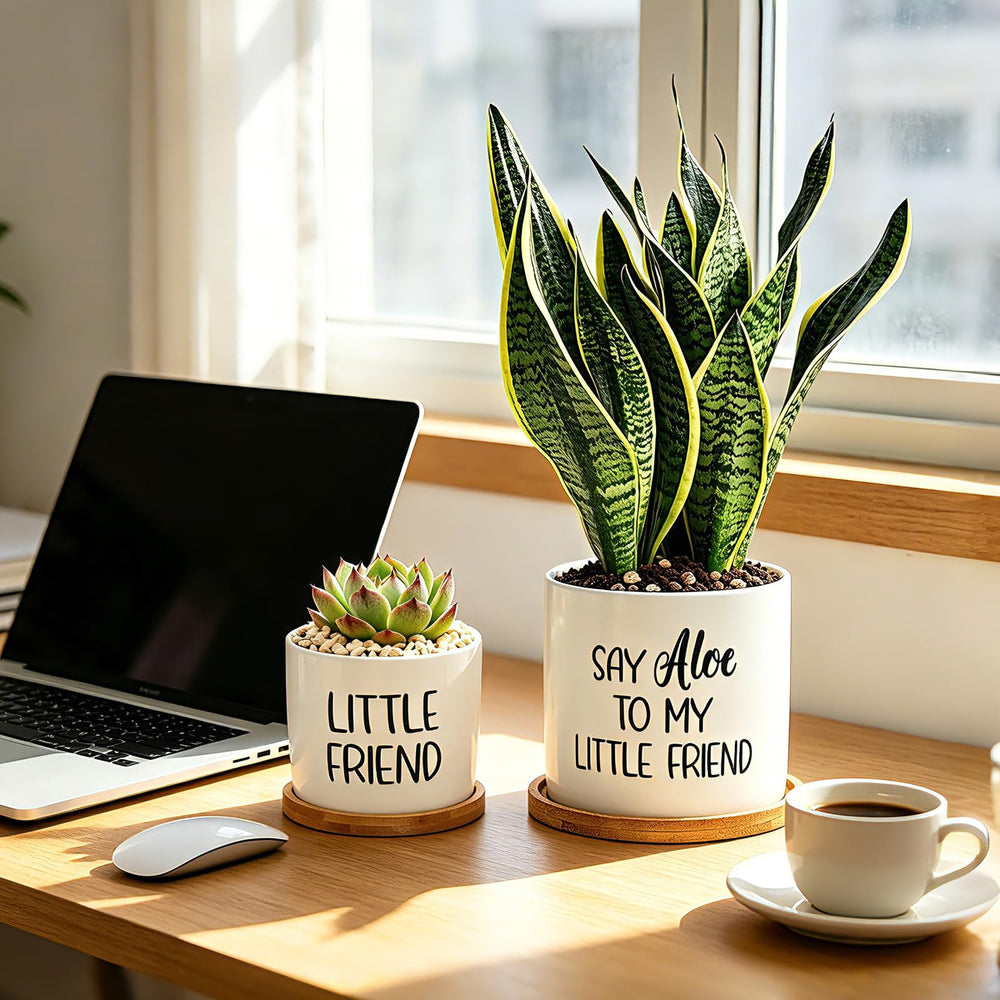 Tuitessine beside a mug for size comparison illustrating scale and fit benefit