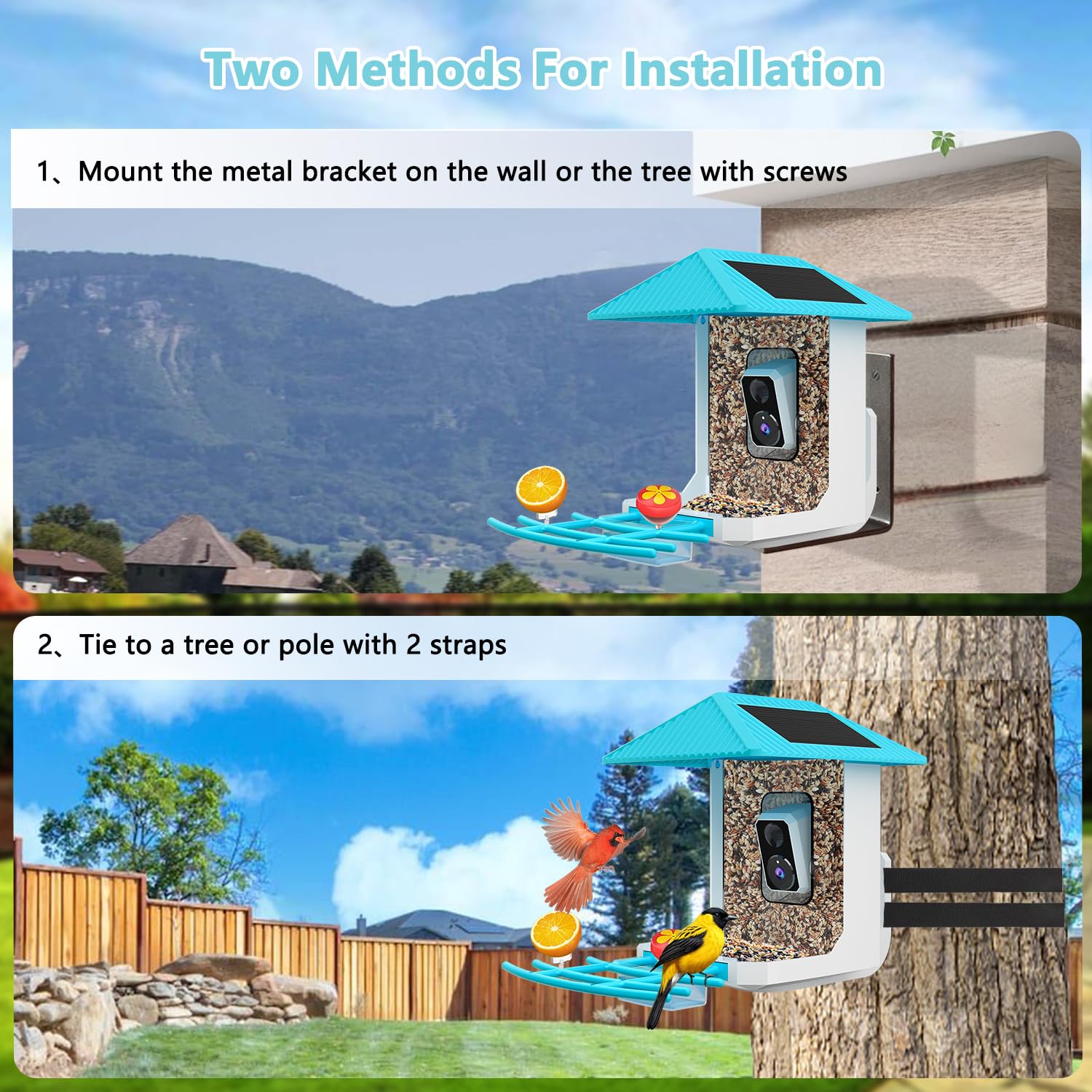 Tutoview feeding perch with small bird visiting, demonstrating bird-friendly design