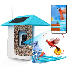Tutoview front view of blue feeder showing camera and feeding tray, great for clear watching