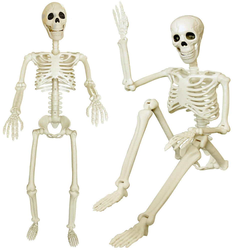 Tuzuaol front view full-body skeletons showing realistic poseability and instant curb appeal