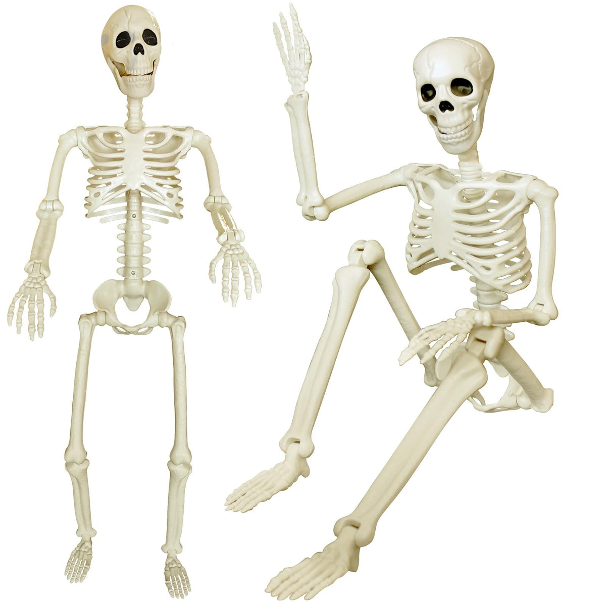 Tuzuaol front view full-body skeletons showing realistic poseability and instant curb appeal