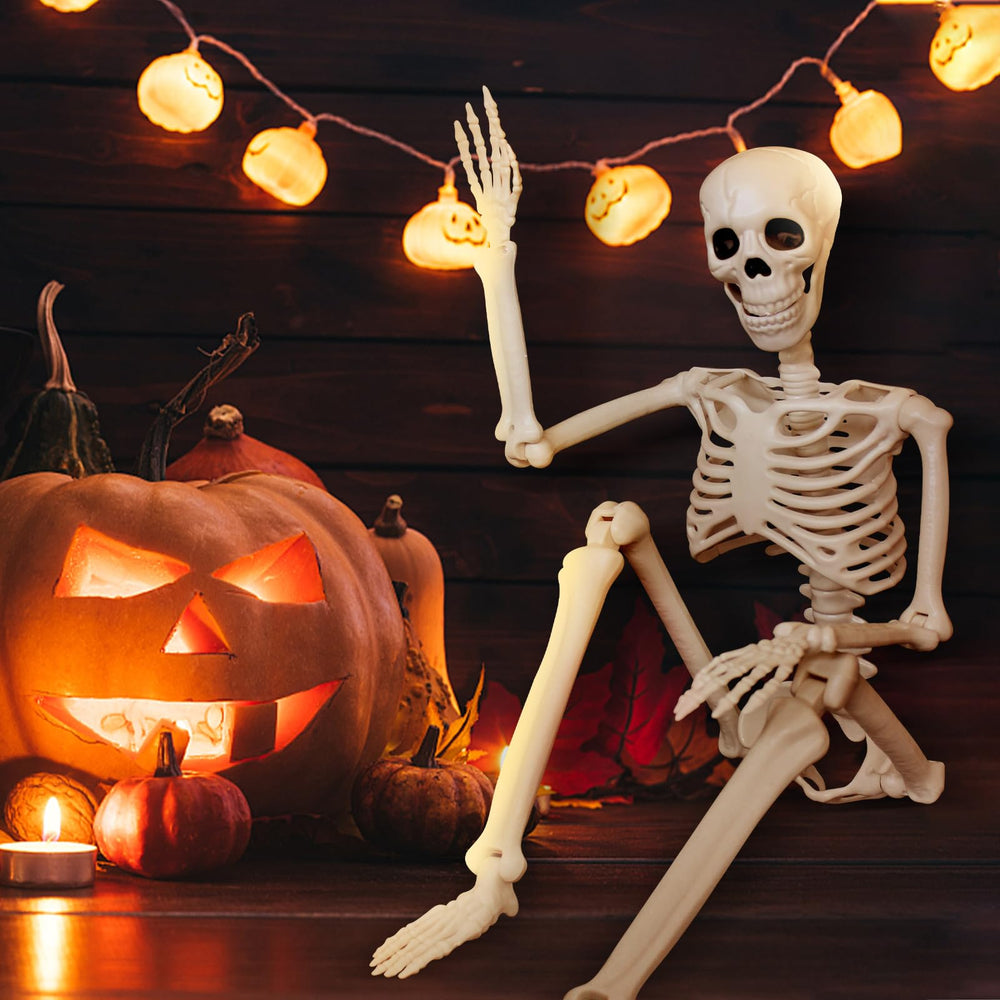 Tuzuaol skeleton folded flat for storage showing compact packing convenience