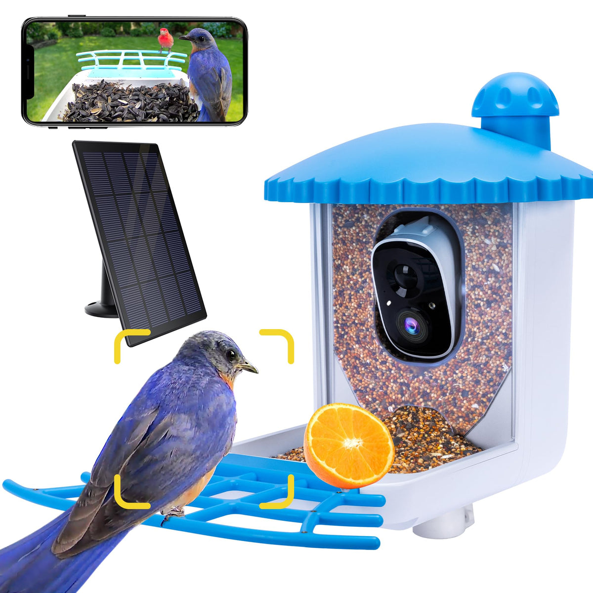 Twesync front view showing feeder and camera, clear bird observation benefit