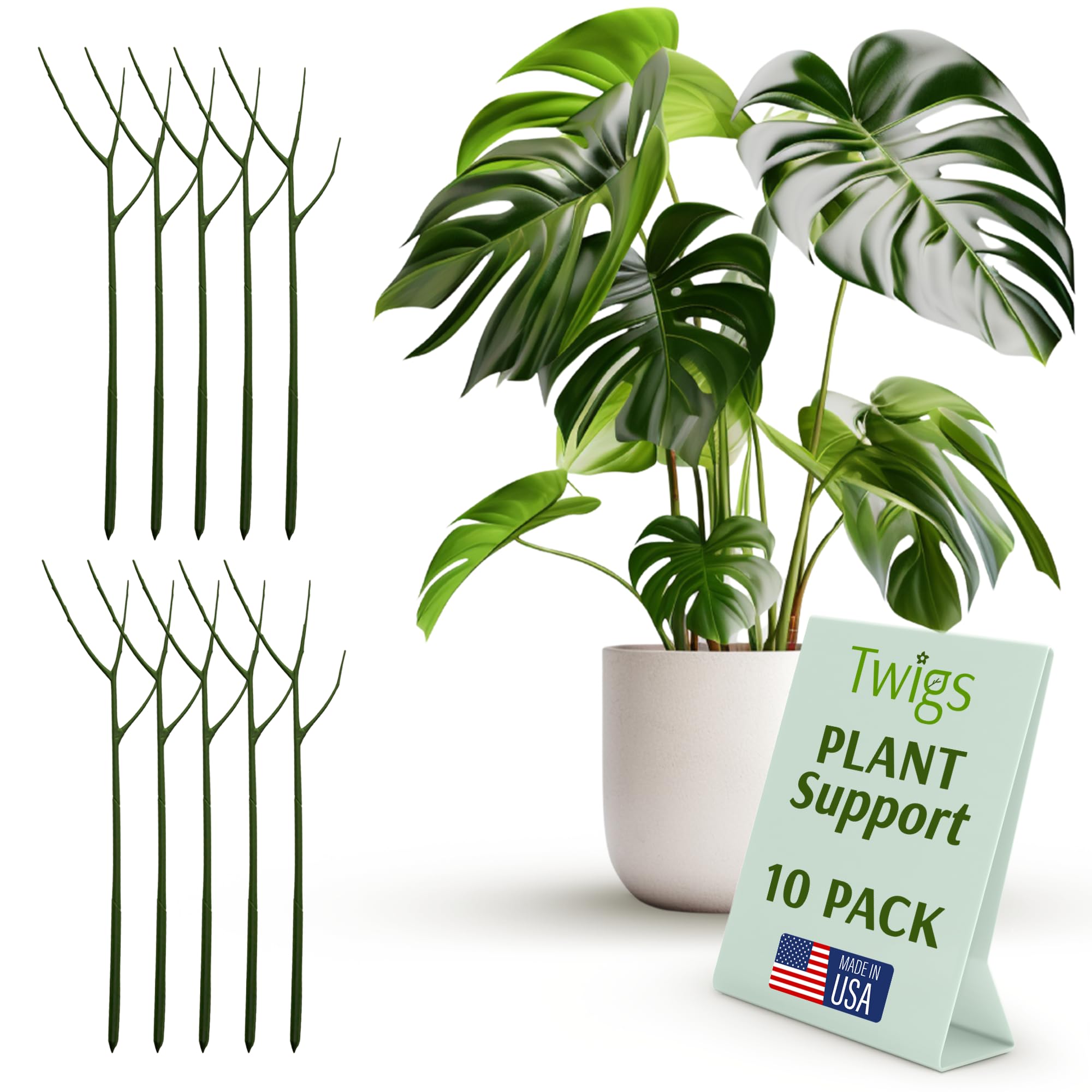 Twigs GA front packaging showing 10 dark green stakes and tidy presentation, natural look benefit