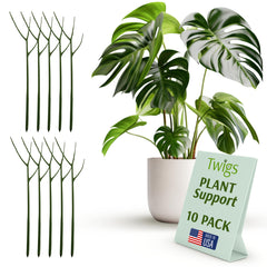 Twigs GA front packaging showing 10 dark green stakes and tidy presentation, natural look benefit