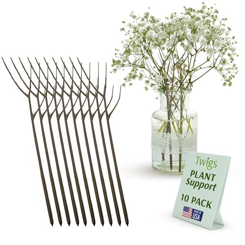 Twigs GA front packaging showing ten moonstone stakes and clean design benefit