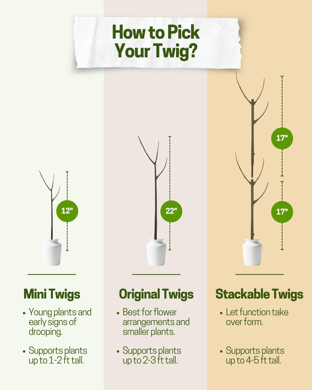 Twigs GA several stakes grouped in planter demonstrating balanced support for multiple stems benefit