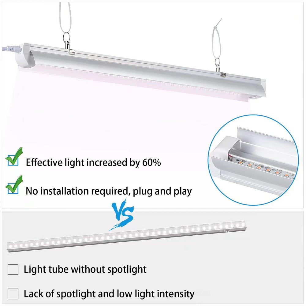 TYAGMAM lighting seedlings on a tray with clear coverage and improved early-stage development