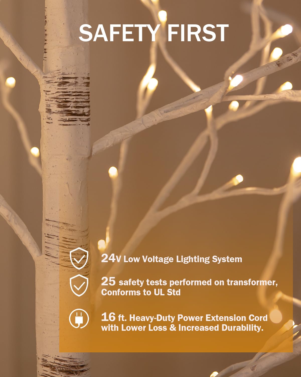TYBEEU transformer and waterproof plug showing safe low-voltage setup
