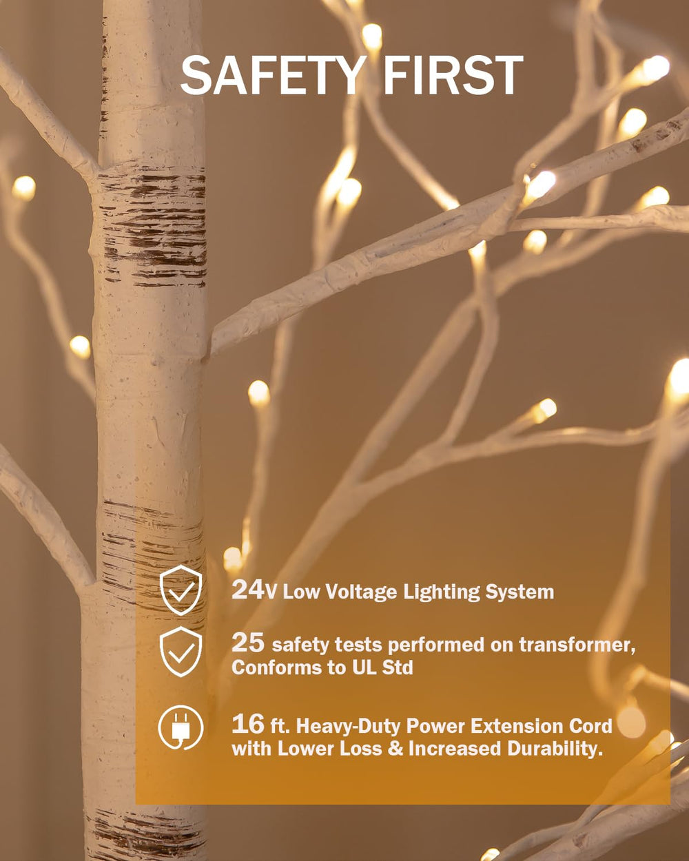 TYBEEU transformer and waterproof plug showing safe low-voltage setup