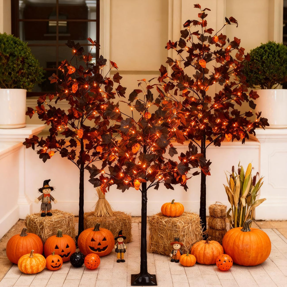 TYBEEU front view of three black maple trees showing layered height and curb appeal