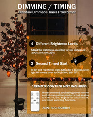 TYBEEU warm-orange LEDs glowing on trees showing soft, spooky illumination
