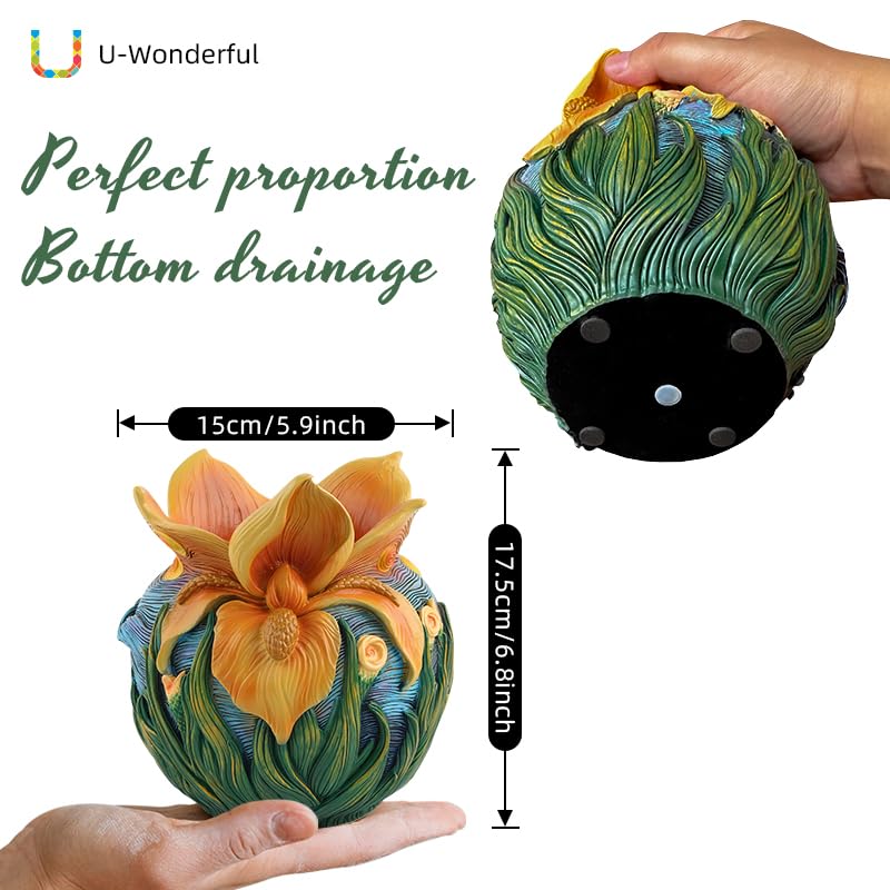 U WONDERFUL size comparison with hand showing portability and ideal scale