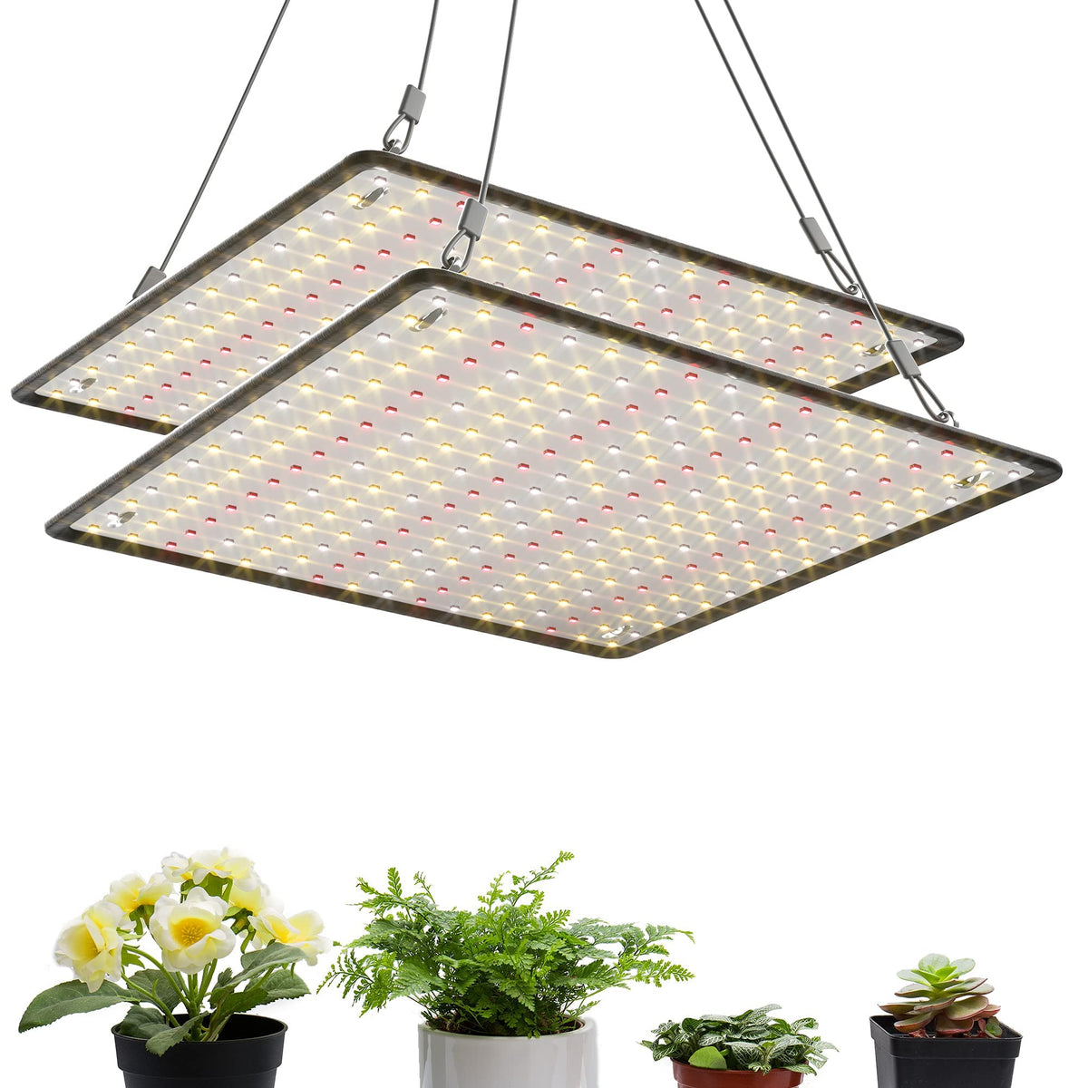 Uallhome front panel showing compact sunlike LEDs and improved plant visibility